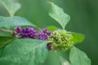 dsc01641_small.jpg