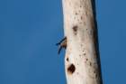 dsc01707_small.jpg