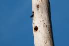 dsc01711_small.jpg