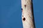dsc01712_small.jpg