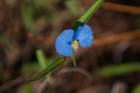 dsc01752_small.jpg