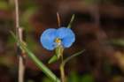 dsc01753_small.jpg