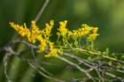 dsc01754_small.jpg