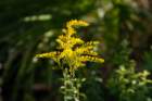 dsc01756_small.jpg