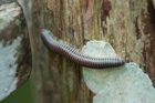 dsc01822_small.jpg