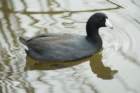 dsc01245_small.jpg
