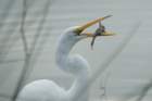 dsc01303_small.jpg