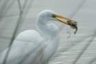 dsc01308_small.jpg
