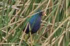 dsc01362_small.jpg