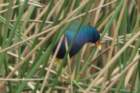 dsc01363_small.jpg