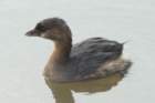 dsc01422_small.jpg