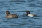 dsc01467_small.jpg