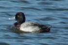 dsc01470_small.jpg