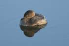 dsc01751_small.jpg