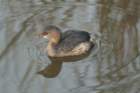 dsc03362_small.jpg