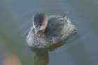 dsc03371_small.jpg