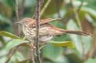 dsc03389_small.jpg