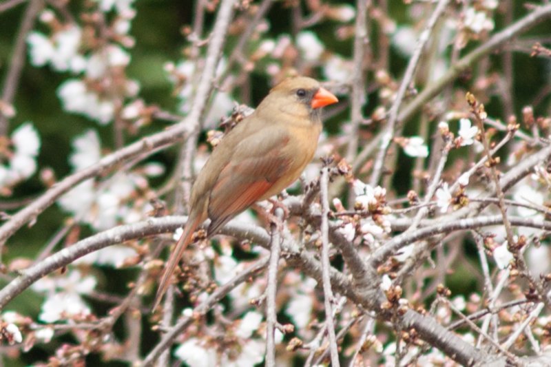 DSC03400 dsc03400.jpg