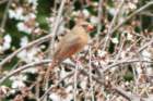 dsc03400_small.jpg