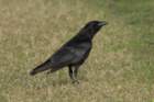 dsc02577_small.jpg