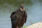 dsc02585_small.jpg