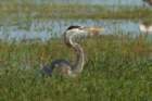 dsc02589_small.jpg
