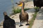 dsc02625_small.jpg
