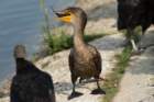 dsc02628_small.jpg