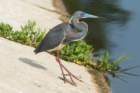 dsc02647_small.jpg