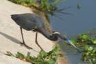 dsc02648_small.jpg