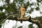 dsc02838_small.jpg