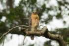 dsc02840_small.jpg