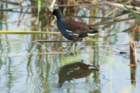 dsc02859_small.jpg