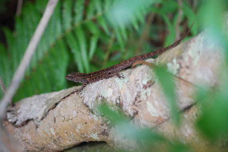 dsc_2738.jpg