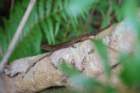 dsc_2738_small.jpg