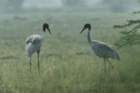 dsc03742_small.jpg