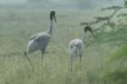 dsc03744_small.jpg