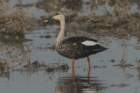 dsc03768_small.jpg