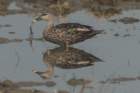 dsc03775_small.jpg