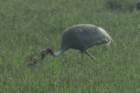 dsc03885_small.jpg
