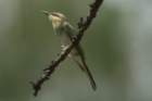 dsc04012_small.jpg