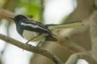 dsc04056_small.jpg