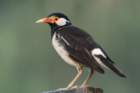dsc04104_small.jpg