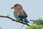 dsc04151_small.jpg