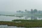 dsc04165_small.jpg