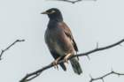 dsc04174_small.jpg