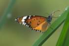 dsc04178_small.jpg