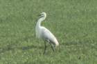 dsc04179_small.jpg