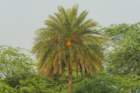 dsc04181_small.jpg