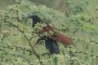 dsc04189_small.jpg